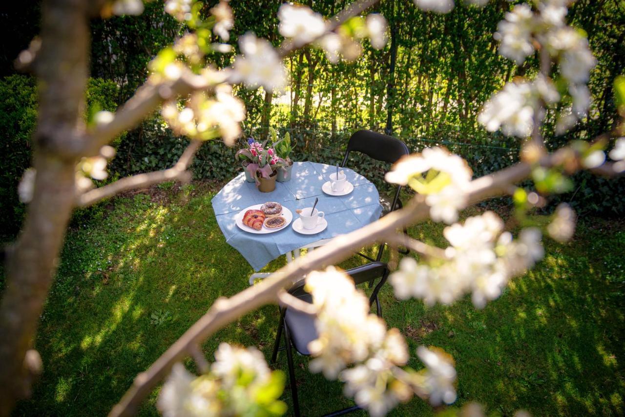 My Sweet Garden - By Myhomeincomo Cassina Rizzardi Exteriér fotografie